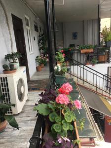 uma varanda com flores e plantas num edifício em Eka Guest House em Batumi