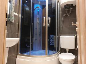 a bathroom with a shower with a toilet and a sink at Apartment AB Batala in Dubrovnik +55 photos