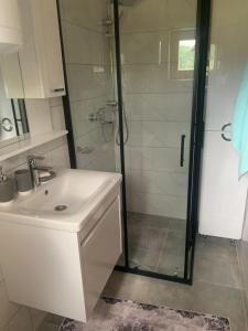 a bathroom with a sink and a glass shower at Bungalow Fly Fishing Kljuc River Sanica in Zolaći +18 photos