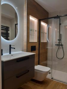 a bathroom with a toilet and a sink and a shower at Apartamento Nordeste in Gijón