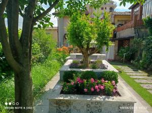 einen Garten vor einem Gebäude mit einem Baum und Blumen in der Unterkunft Amaryllis Case Vacanza in Il Romito