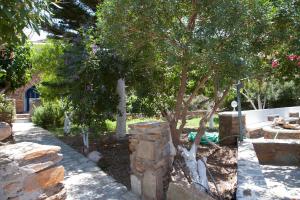 un jardín con un árbol y una pared de piedra en Ο Μήλας, en Agios Dimitrios