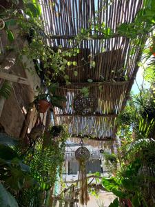 a room filled with lots of plants at Greenpointholbox in Holbox Island