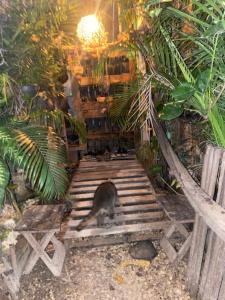 a cat sitting on the stairs in a room with plants at Greenpointholbox in Holbox Island