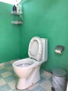 een badkamer met een toilet en een groene muur bij GuestHouse Vrontos, close to Monemvasia 