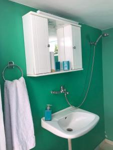 een groene badkamer met een wastafel en een spiegel bij GuestHouse Vrontos, close to Monemvasia 