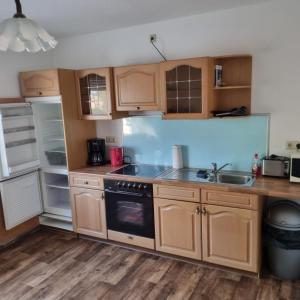 a kitchen with wooden cabinets and a sink at Appartmenthaus Zum Goldstern Monteurswohnung in Staßfurt