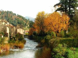une rivière dans une ville avec un pont et des arbres dans l'établissement Le petit Luxembourg, à Valleraugue