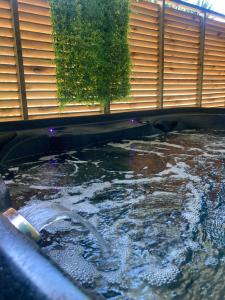 Piscina a Ti Repos Martinique - maison avec Spa o a prop