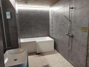 La salle de bains est pourvue d'une douche et de toilettes. dans l'établissement Ristimäenkatu, à Mikkeli