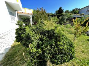 Ein Garten an der Unterkunft Mary Loo Apartments Rab