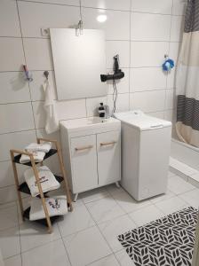 a bathroom with a sink and a washing machine at Studio 45m2 très calme in Village-Neuf