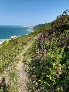 un chemin de terre sur une colline à côté de l'océan dans l'établissement reve capel, à Urville-Nacqueville