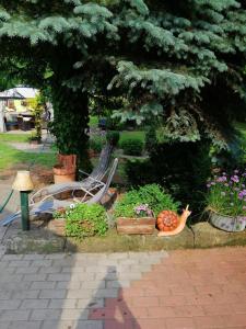 un parque con un banco y algunas flores y plantas en Penzion JURA, en Chřibská