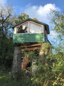 una casa en el árbol sentada en la parte superior de un tronco de árbol en Tree house and shepherds hut, en Ashburton