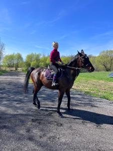 a woman riding a horse down a road at Domek pod lasem in Pasłęk