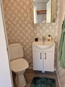 La salle de bains est pourvue de toilettes, d'un lavabo et d'un miroir. dans l'établissement Charmigt hus på landet nära till bad, à Strömstad
