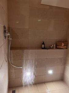 La salle de bains est pourvue d'une douche avec un ruisseau d'eau. dans l'établissement La Biancasa, à Carovigno