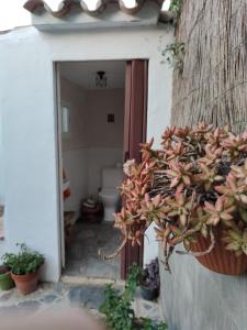 Fotografia z galérie ubytovania Casa El Jazmín v destinácii Vejer de la Frontera