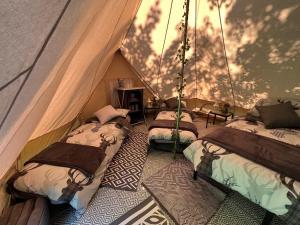 a room with three beds in a tent at Superior Luxury Large Emperor Tent in Stoke Goldington