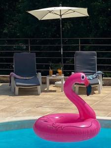 a pink flamingo float in a pool with chairs and an umbrella at Gorges du Verdon : Guest house avec piscine in Baudinard