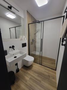 a bathroom with a toilet and a sink and a shower at Willa Górska Szrenicówka in Szklarska Poręba