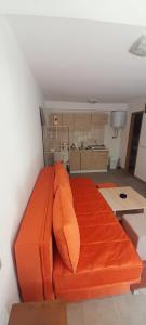 Kuchyň nebo kuchyňský kout v ubytování Apartman NeSa Boracko jezero