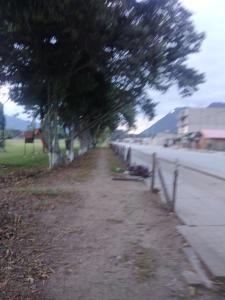 una carretera con árboles y una valla al lado de una calle en Suzet House, en Oxapampa