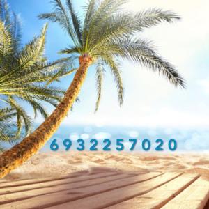uma palmeira na praia com um horário em SUNRISE LUXURY POOL VILLA em PalaiónTsiflíkion