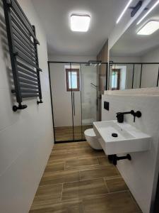 a bathroom with a white sink and a toilet at Willa Górska Szrenicówka in Szklarska Poręba