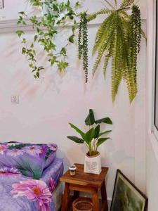 プノンペンにあるTiny yet Beautiful apartment in the heart of Phnom Penh, Near central marketのソファと植物のあるテーブルが備わる部屋