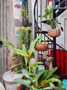 プノンペンにあるTiny yet Beautiful apartment in the heart of Phnom Penh, Near central marketのバルコニーのバスケットに植物がたくさん入っています。