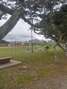un parque con un árbol y un banco en un parque en Suzet House, en Oxapampa
