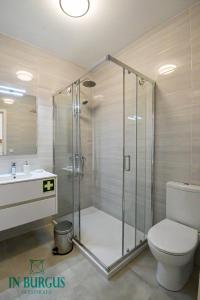 a bathroom with a shower with a toilet and a sink at In Burgus guest house in Viana do Castelo