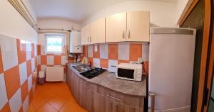 a kitchen with a counter with a microwave and a refrigerator at Apartament Mia in Ocnele Mari