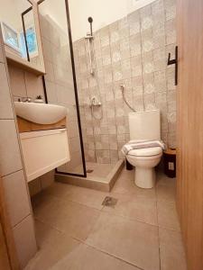 a bathroom with a toilet and a sink and a shower at Vithos in Agnontas