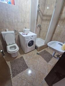 a bathroom with a shower and a toilet and a sink at Apartman Sofija in Banja Luka