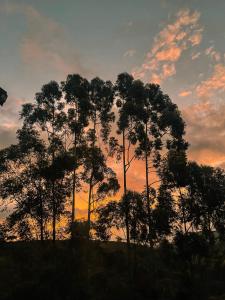 a group of trees in front of a sunset at Canto do Vento Hospedaria in Santo Antônio do Pinhal