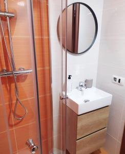 ein Bad mit einer Dusche, einem Waschbecken und einem Spiegel in der Unterkunft COQUETO APARTAMENTO EN OVIEDO in Oviedo