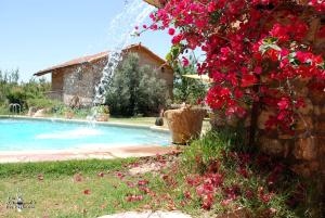 uma casa com uma piscina com uma fonte em Dar Zaghouan em Zaghouan