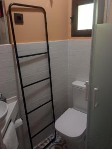 La petite salle de bains est pourvue de toilettes et d'un lavabo. dans l'établissement SEÑORÍO DE ORGAZ III, à Tolède