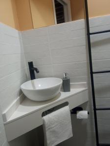 baño con lavabo en la encimera en SEÑORÍO DE ORGAZ III en Toledo