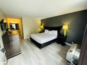 a hotel room with a bed and a television at Rodeway Inn in Silver Springs