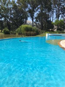 uma grande piscina de água azul com árvores ao fundo em Monoambiente Green Park- Solanas em Punta del Este