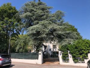 uma grande árvore em frente a uma casa em VILLA LES TERRASSES dans la nature avec piscine à 2 pas de Lyon, métro à 15mn à pied pour Lyon centre en 10mn ou bus à 300m pour Lyon centre em Oullins