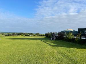 A garden outside Colourful Mongolian Yurt enjoy a new experience