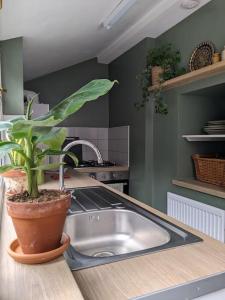 a kitchen sink with a potted plant on a counter at Rustic Vintage Cottage: Near Waterfall Country in Pont-Nedd-Fechan