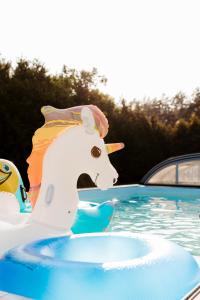 a inflatable unicorn in a swimming pool at Kwintesencja Natury in Stobnicko