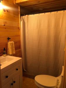 uma casa de banho com um WC, um chuveiro e um lavatório. em Beddington Lake Log Cabin 