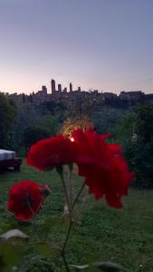 Fotografia z galérie ubytovania Antico Casolare v San Gimignano
